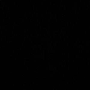 Meet your Posher, Maya